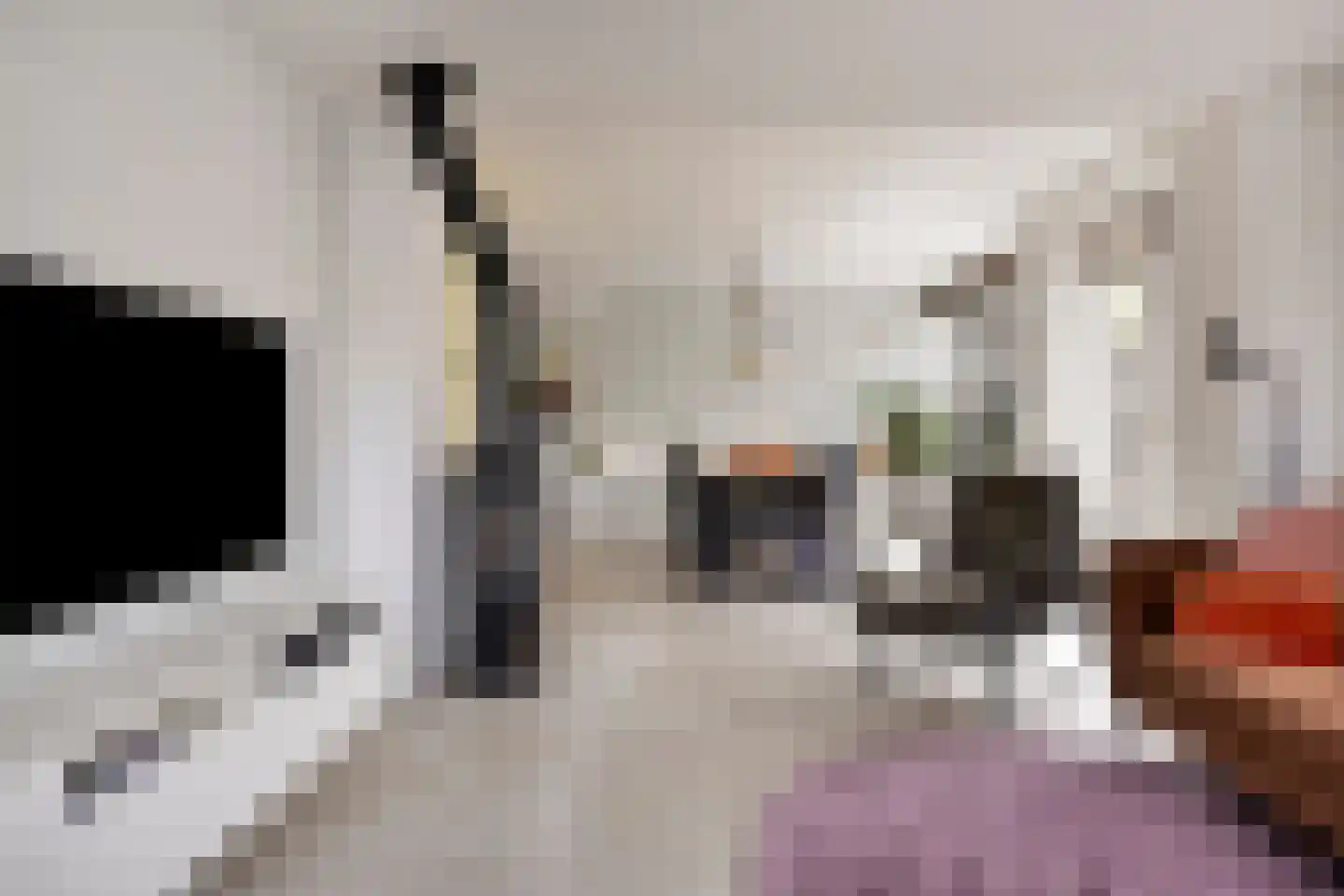 Michiel Adriaanszoon de Ruyterstraat 48 Maarssen thumbnail 10