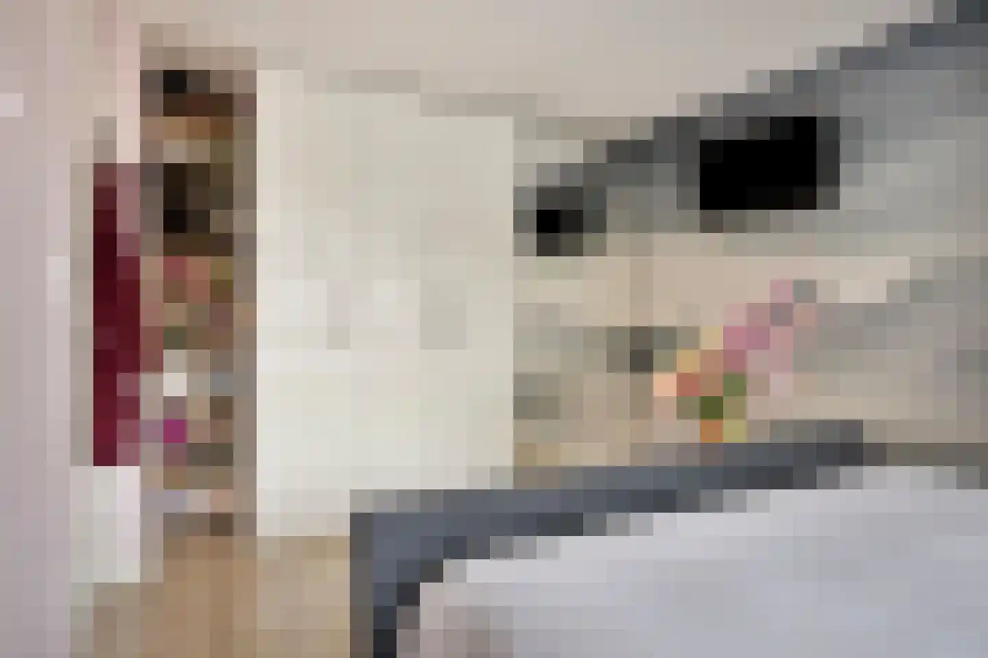 Michiel Adriaanszoon de Ruyterstraat 48 Maarssen thumbnail 27