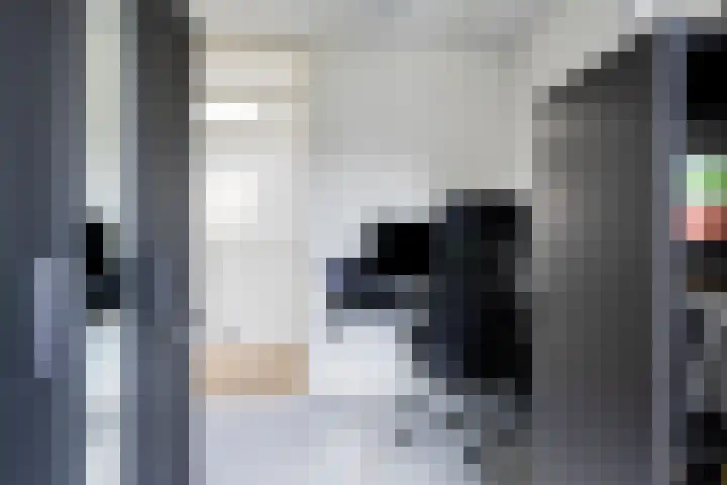 Michiel Adriaanszoon de Ruyterstraat 78 Maarssen thumbnail 22