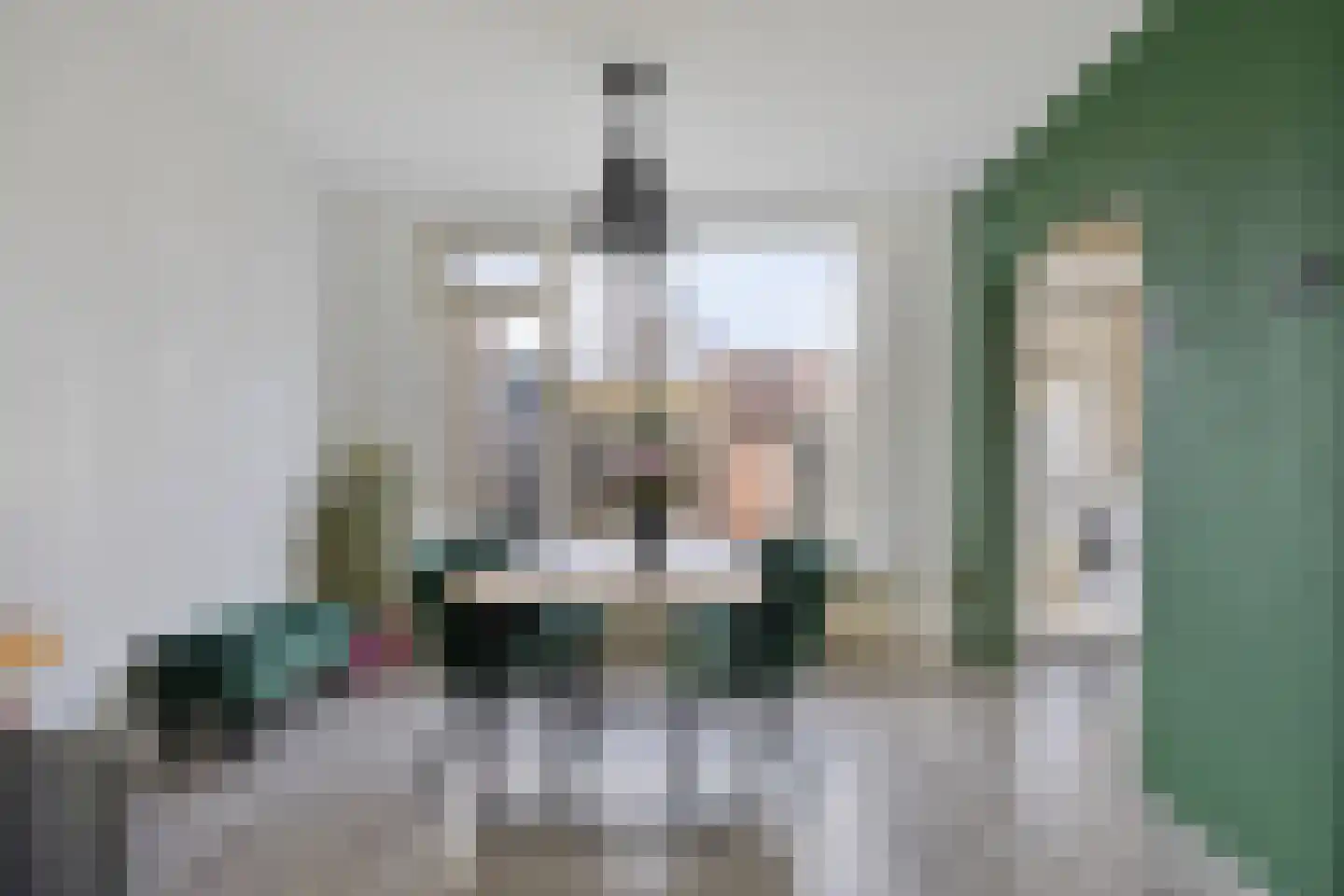 Michiel Adriaensz. de Ruijterstraat 10 De Lier thumbnail 11