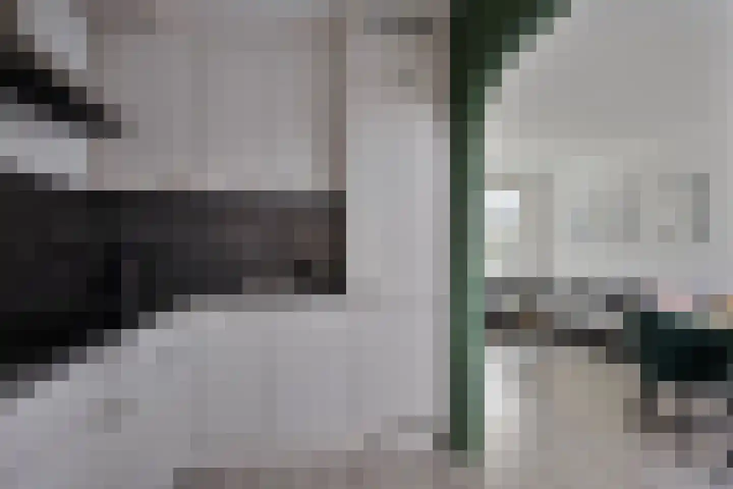 Michiel Adriaensz. de Ruijterstraat 10 De Lier thumbnail 13
