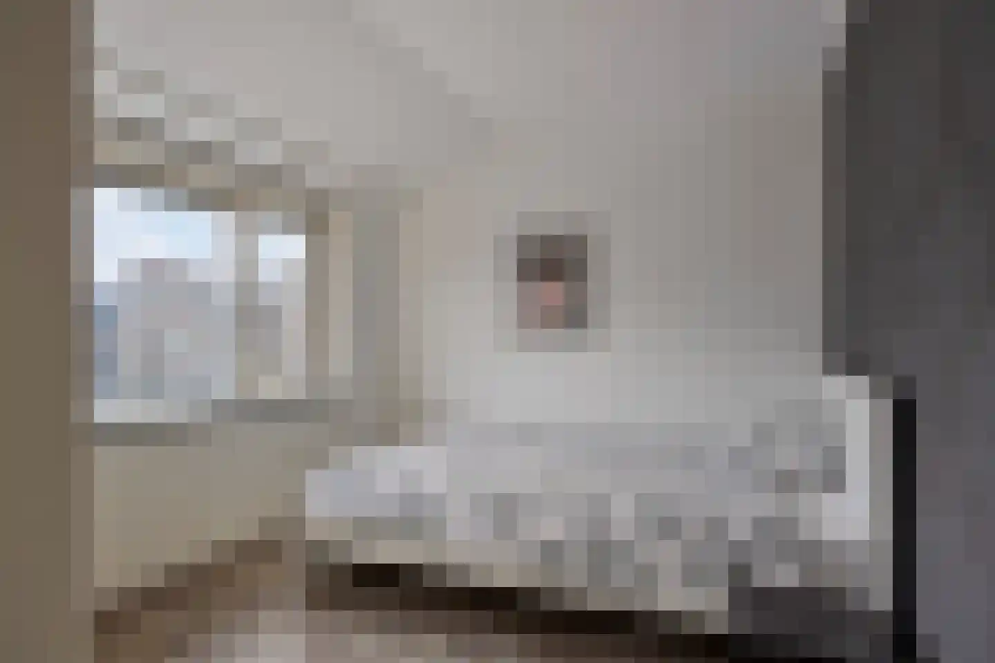 Michiel Adriaensz. de Ruijterstraat 10 De Lier thumbnail 18