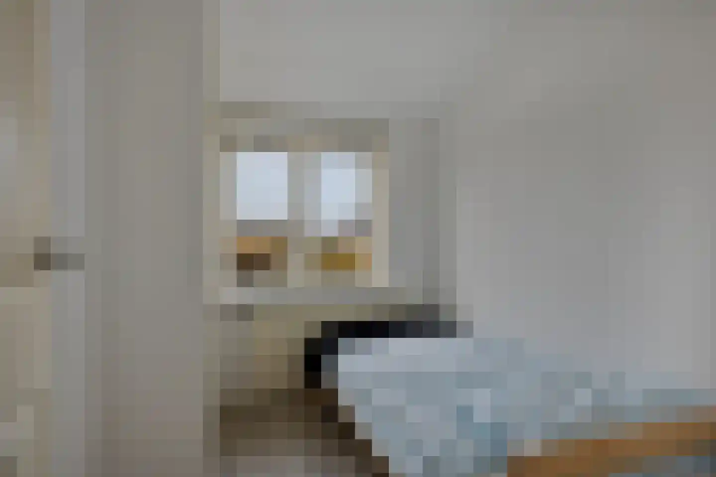 Michiel Adriaensz. de Ruijterstraat 10 De Lier thumbnail 20