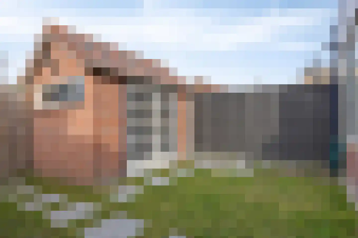 Michiel Adriaensz. de Ruijterstraat 10 De Lier thumbnail 24