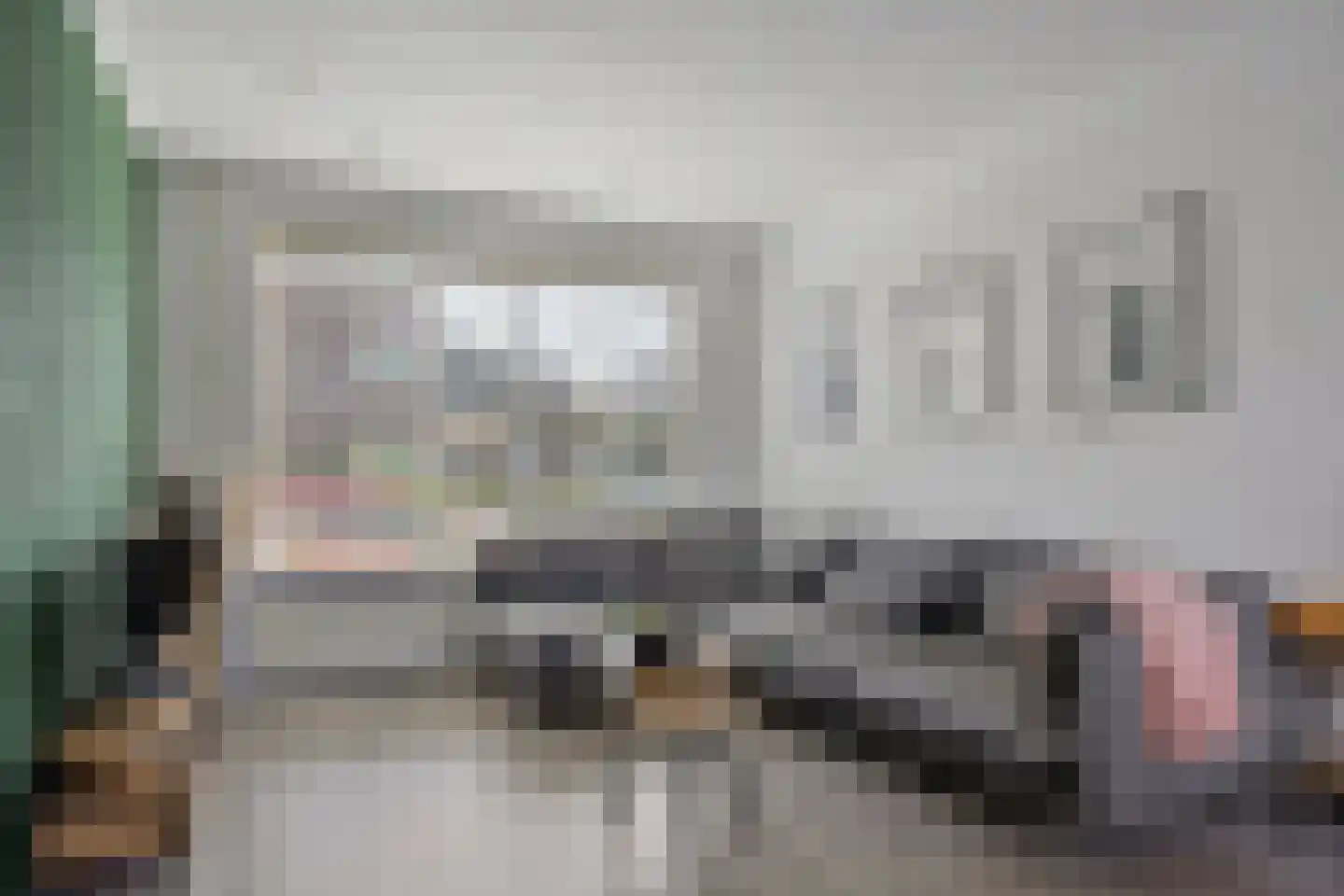 Michiel Adriaensz. de Ruijterstraat 10 De Lier thumbnail 8