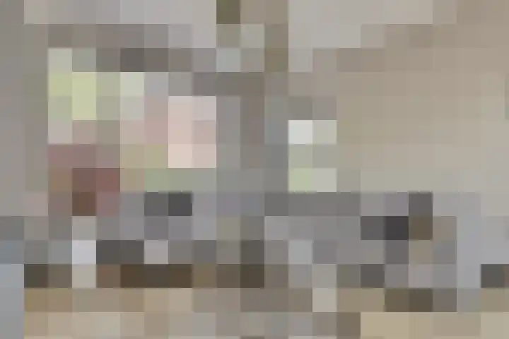 Michiel Adriaensz. de Ruijterstraat 20 De Lier thumbnail 11