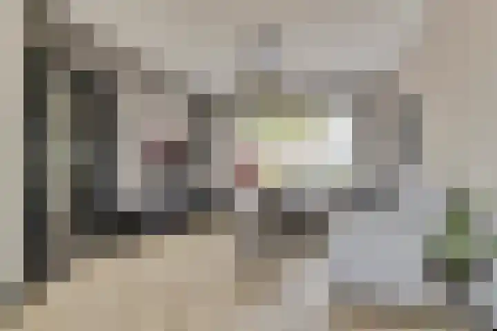 Michiel Adriaensz. de Ruijterstraat 20 De Lier thumbnail 12