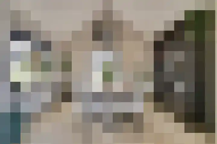 Michiel Adriaensz. de Ruijterstraat 20 De Lier thumbnail 14