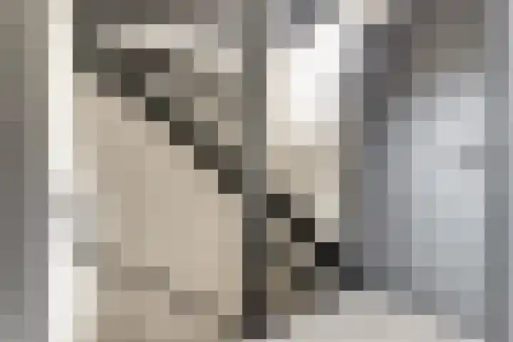 Michiel Adriaensz. de Ruijterstraat 20 De Lier thumbnail 17