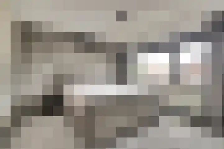 Michiel Adriaensz. de Ruijterstraat 20 De Lier thumbnail 18
