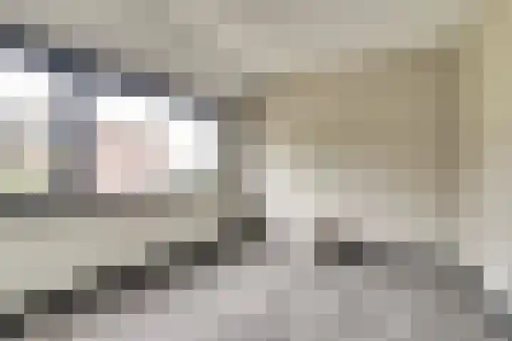 Michiel Adriaensz. de Ruijterstraat 20 De Lier thumbnail 20