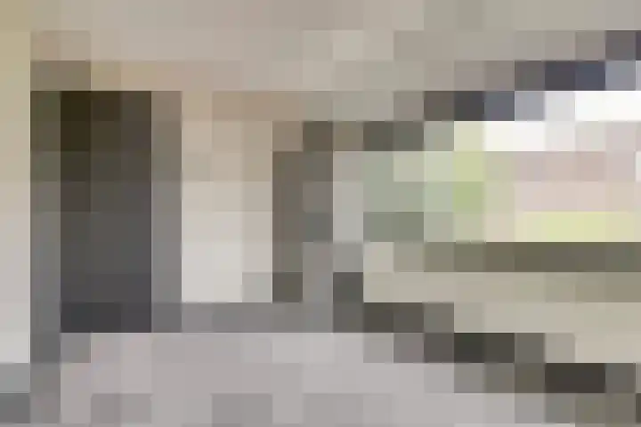 Michiel Adriaensz. de Ruijterstraat 20 De Lier thumbnail 21