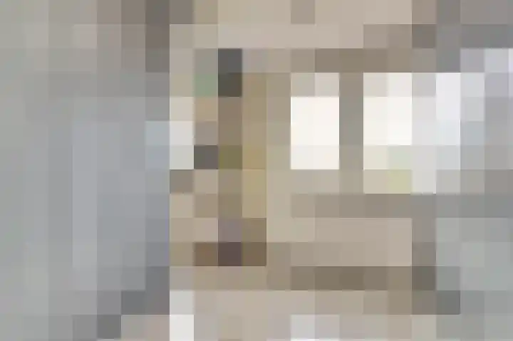 Michiel Adriaensz. de Ruijterstraat 20 De Lier thumbnail 25