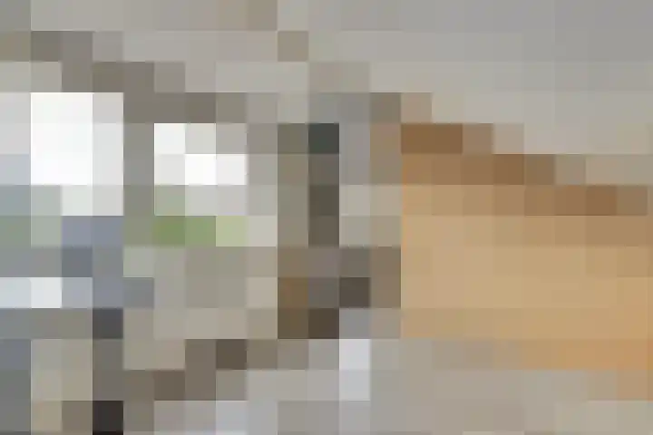 Michiel Adriaensz. de Ruijterstraat 20 De Lier thumbnail 27
