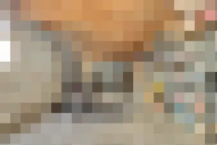 Michiel Adriaensz. de Ruijterstraat 20 De Lier thumbnail 28