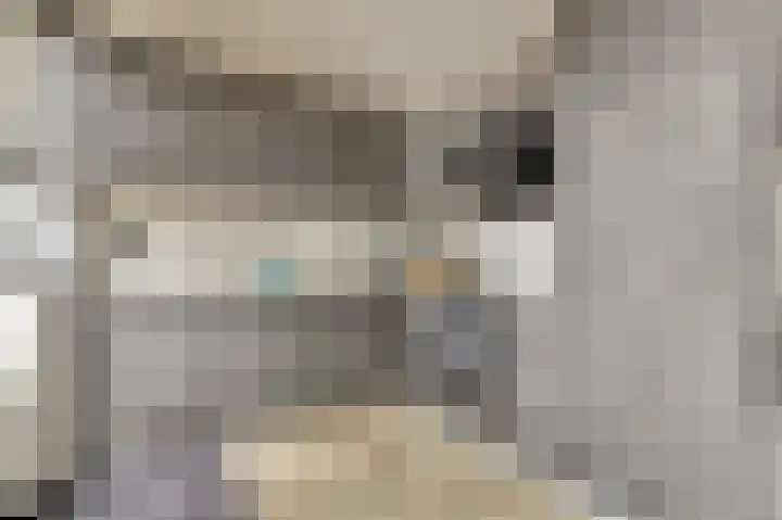 Michiel Adriaensz. de Ruijterstraat 20 De Lier thumbnail 5