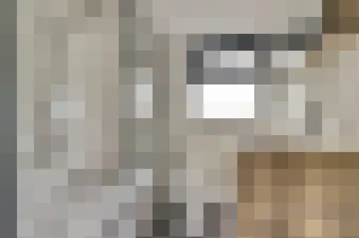 Michiel Adriaensz. de Ruijterstraat 20 De Lier thumbnail 6