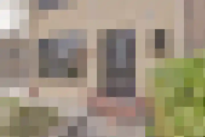Michiel Adriaensz. de Ruijterstraat 20 De Lier thumbnail 7