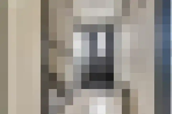 Michiel Adriaensz. de Ruijterstraat 20 De Lier thumbnail 8