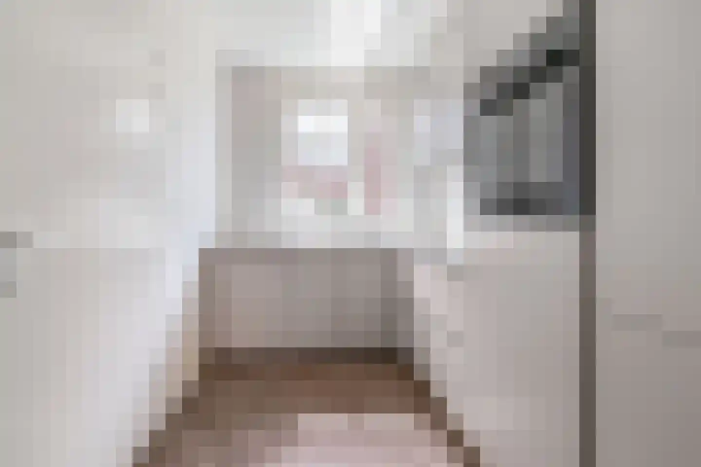 Michiel Bisschopplantsoen 6 Gouda thumbnail 17
