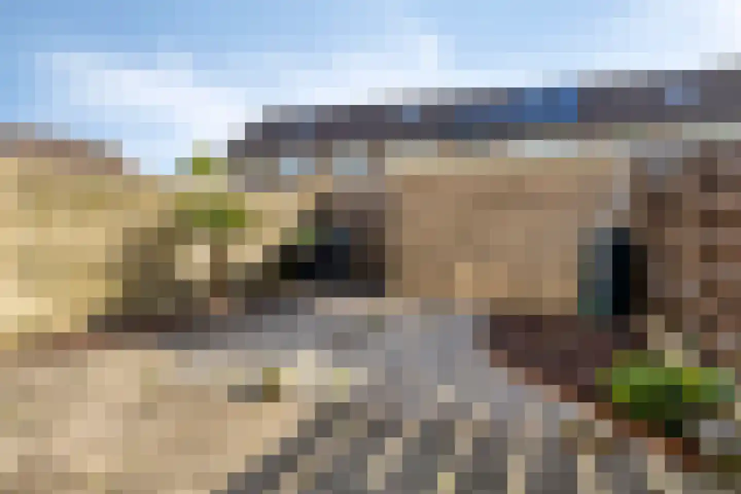 Michiel de Ruijtersingel 46 Terneuzen thumbnail 28