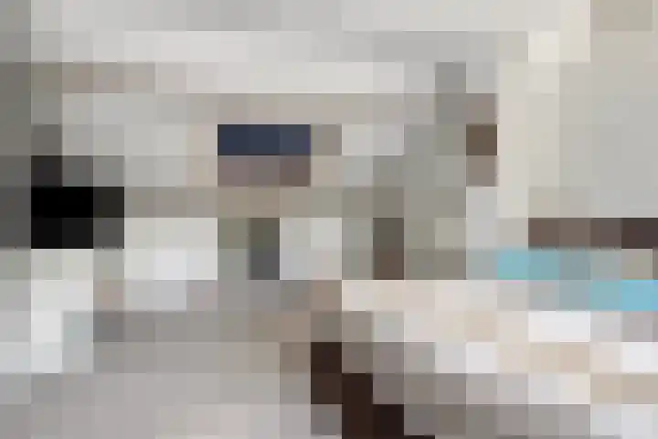Michiel de Ruijtersingel 9 Terneuzen thumbnail 29