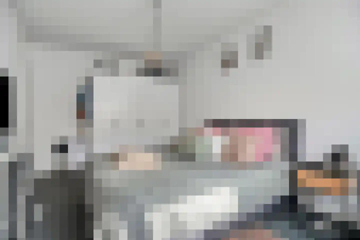 Michiel de Ruijtersingel 94 Terneuzen thumbnail 22