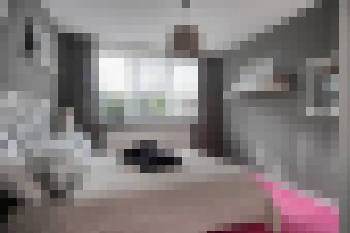 Michiel de Ruijtersingel 94 Terneuzen thumbnail 26