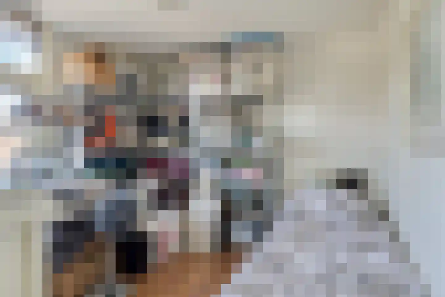 Michiel de Ruijterstraat 2 Bergen op Zoom thumbnail 18