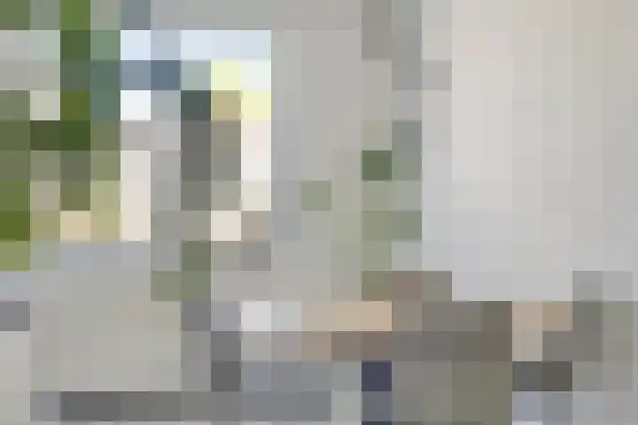 Michiel de Ruijterstraat 21 Kloosterzande thumbnail 12