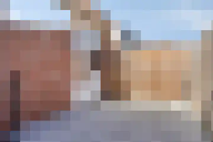 Michiel de Ruijterstraat 25 Kloosterzande thumbnail 20