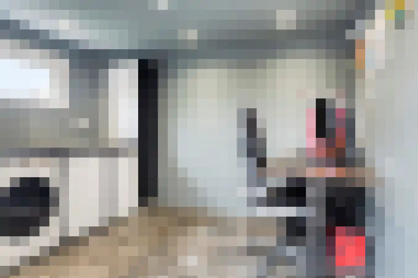 Michiel de Ruijterstraat 29 Kloosterzande thumbnail 18