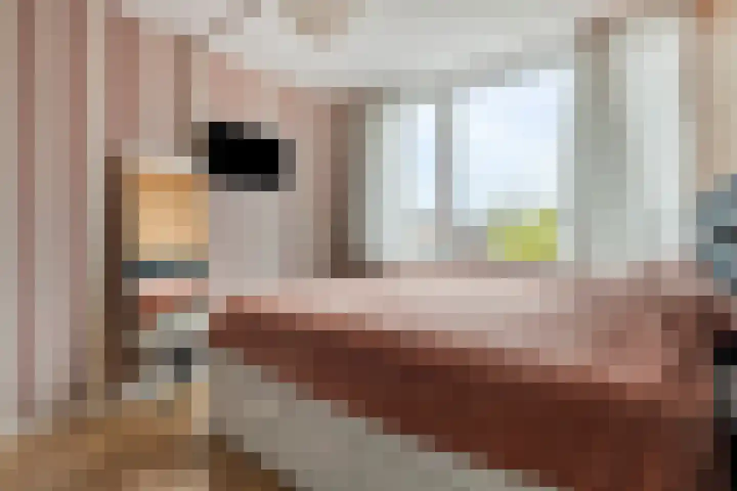 Michiel de Ruijterstraat 29 Kloosterzande thumbnail 23