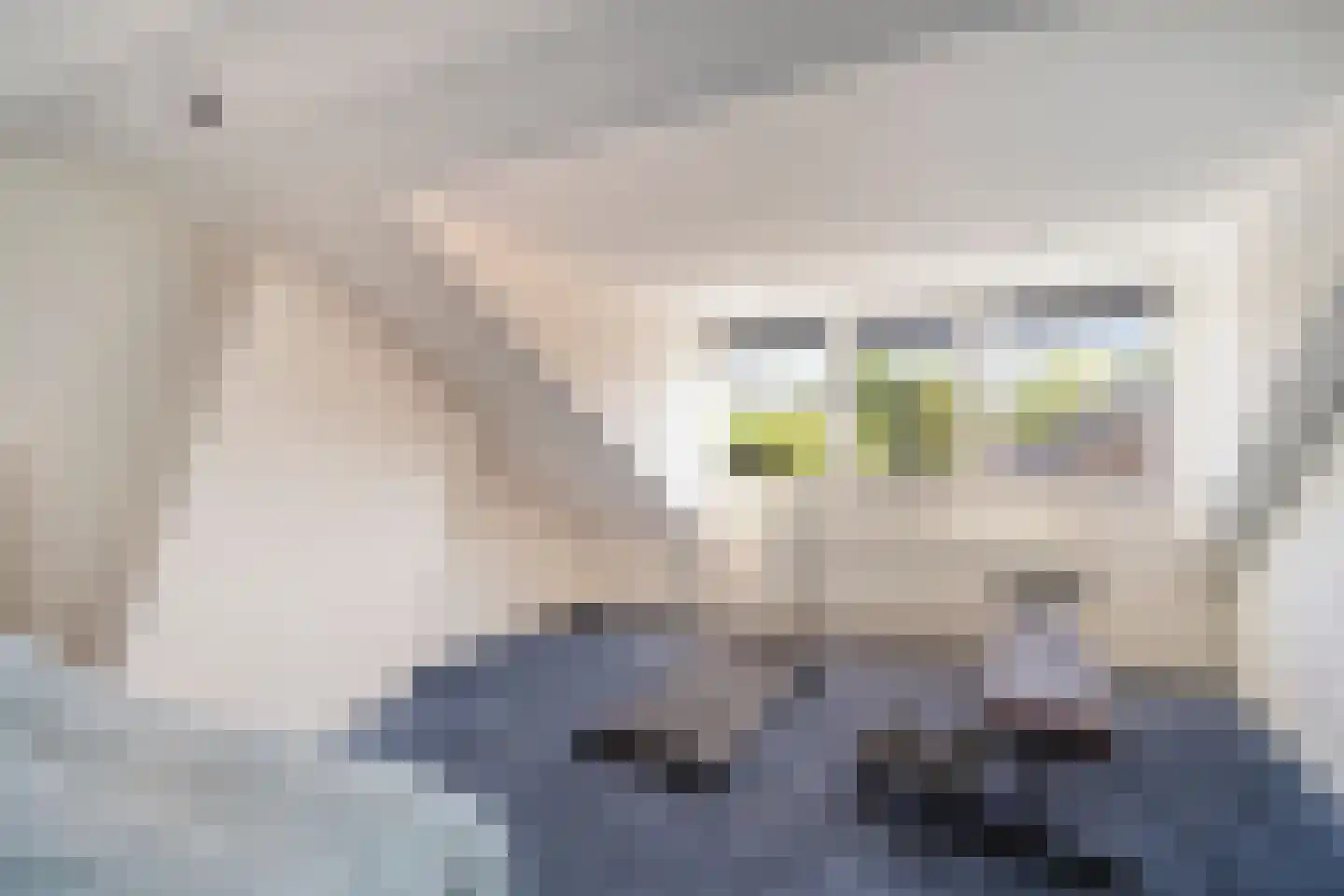 Michiel de Ruijterstraat 32 Best thumbnail 32