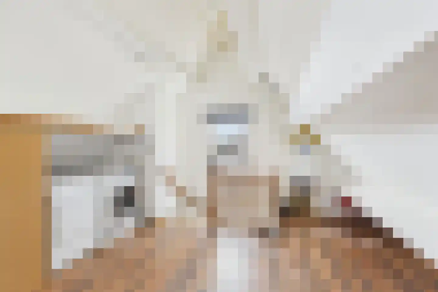 Michiel de Ruijterstraat 33 Kloosterzande thumbnail 35