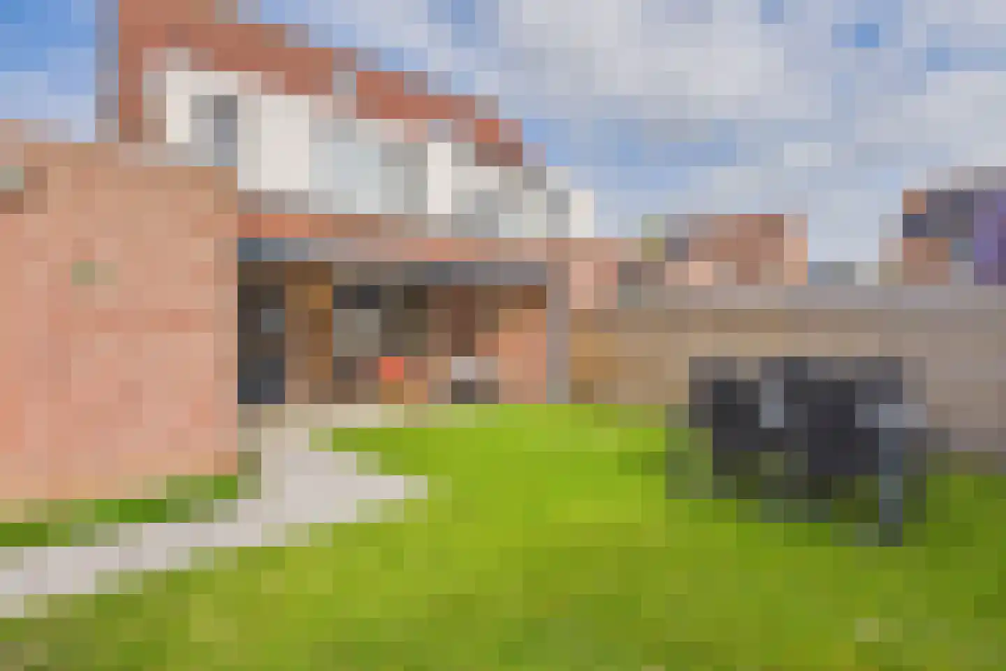 Michiel de Ruijterstraat 33 Kloosterzande thumbnail 6