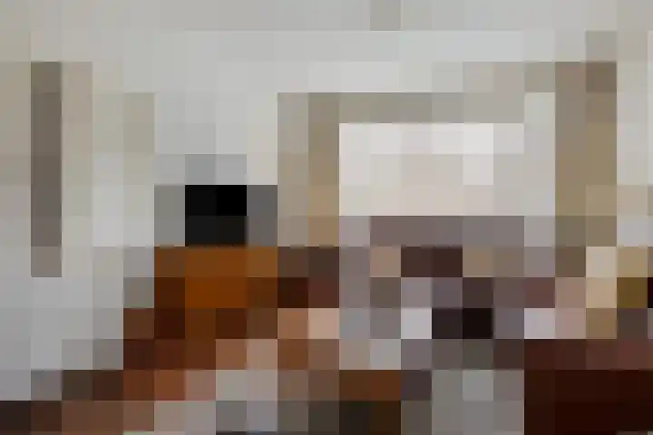 Michiel de Ruijterstraat 4 Best thumbnail 16