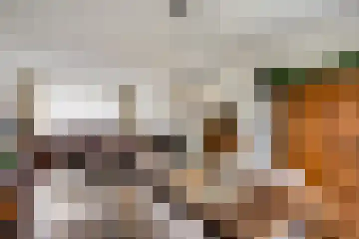 Michiel de Ruijterstraat 4 Best thumbnail 21