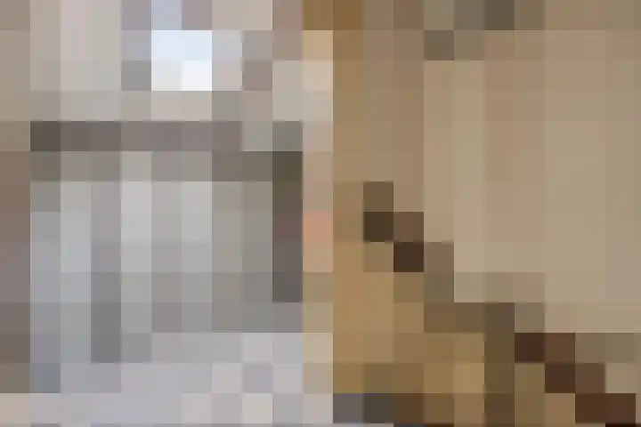 Michiel de Ruijterstraat 4 Best thumbnail 32
