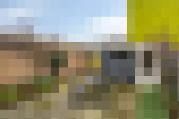 Michiel de Ruijterstraat 4 Best thumbnail 35