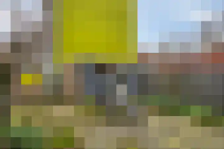 Michiel de Ruijterstraat 4 Best thumbnail 36