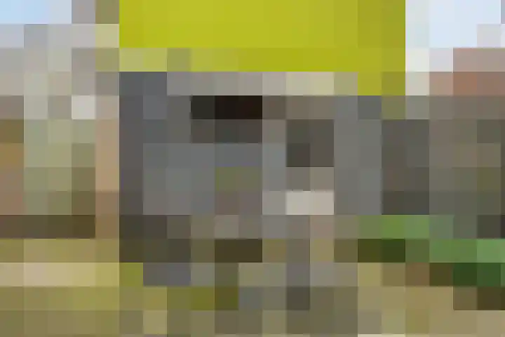 Michiel de Ruijterstraat 4 Best thumbnail 37