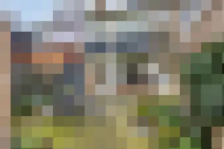 Michiel de Ruijterstraat 4 Best thumbnail 5