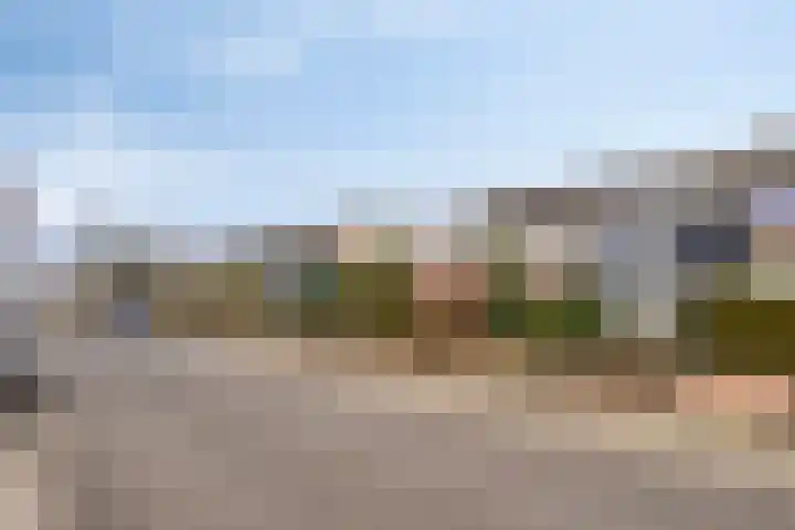 Michiel de Ruijterstraat 4 Best thumbnail 7