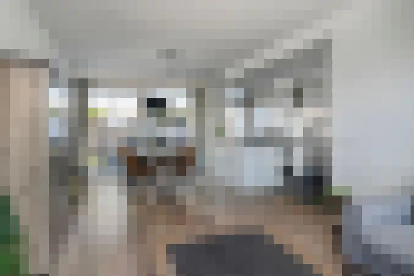 Michiel de Ruijterstraat 48 Best thumbnail 12