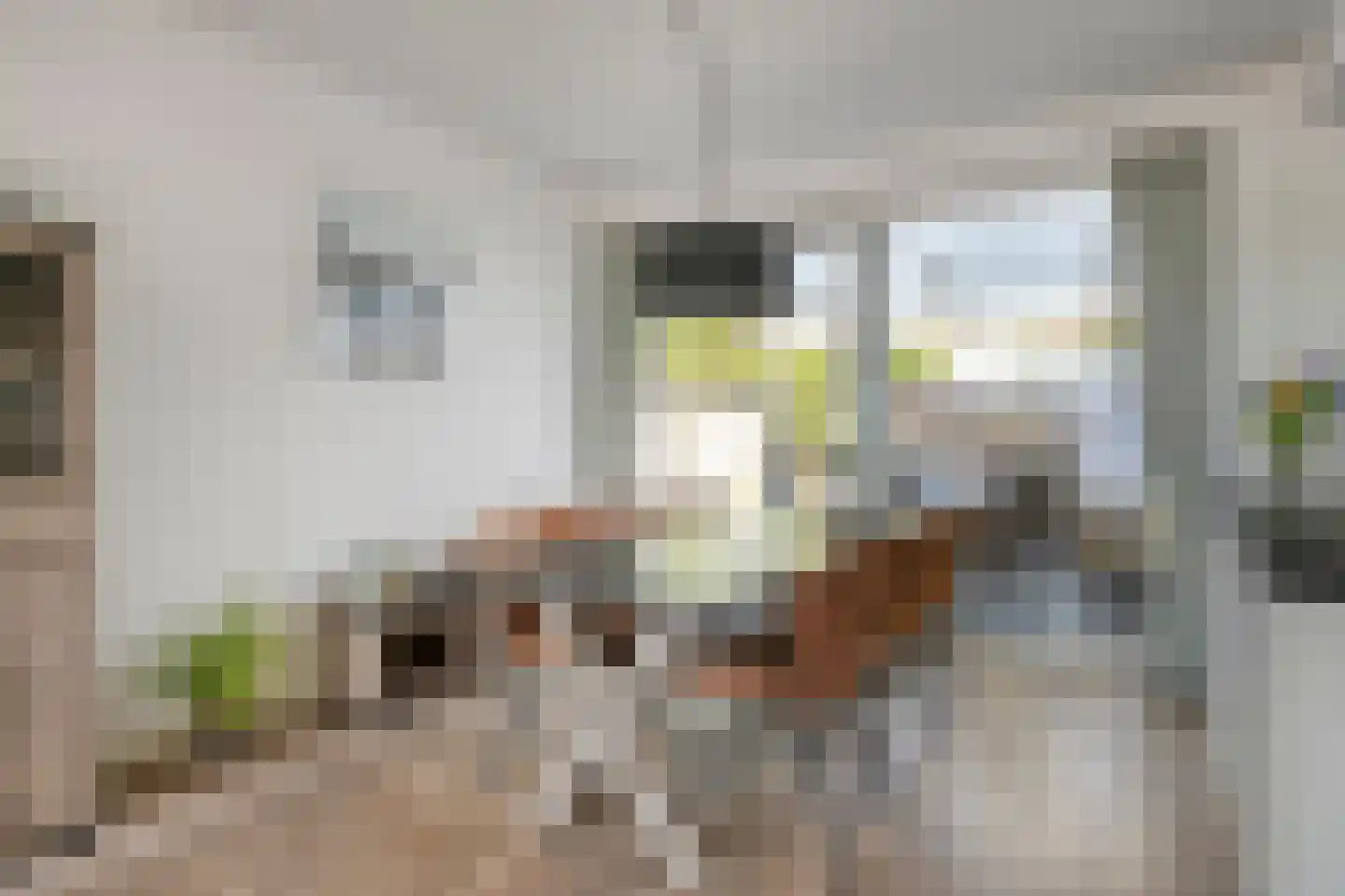 Michiel de Ruijterstraat 48 Best thumbnail 14