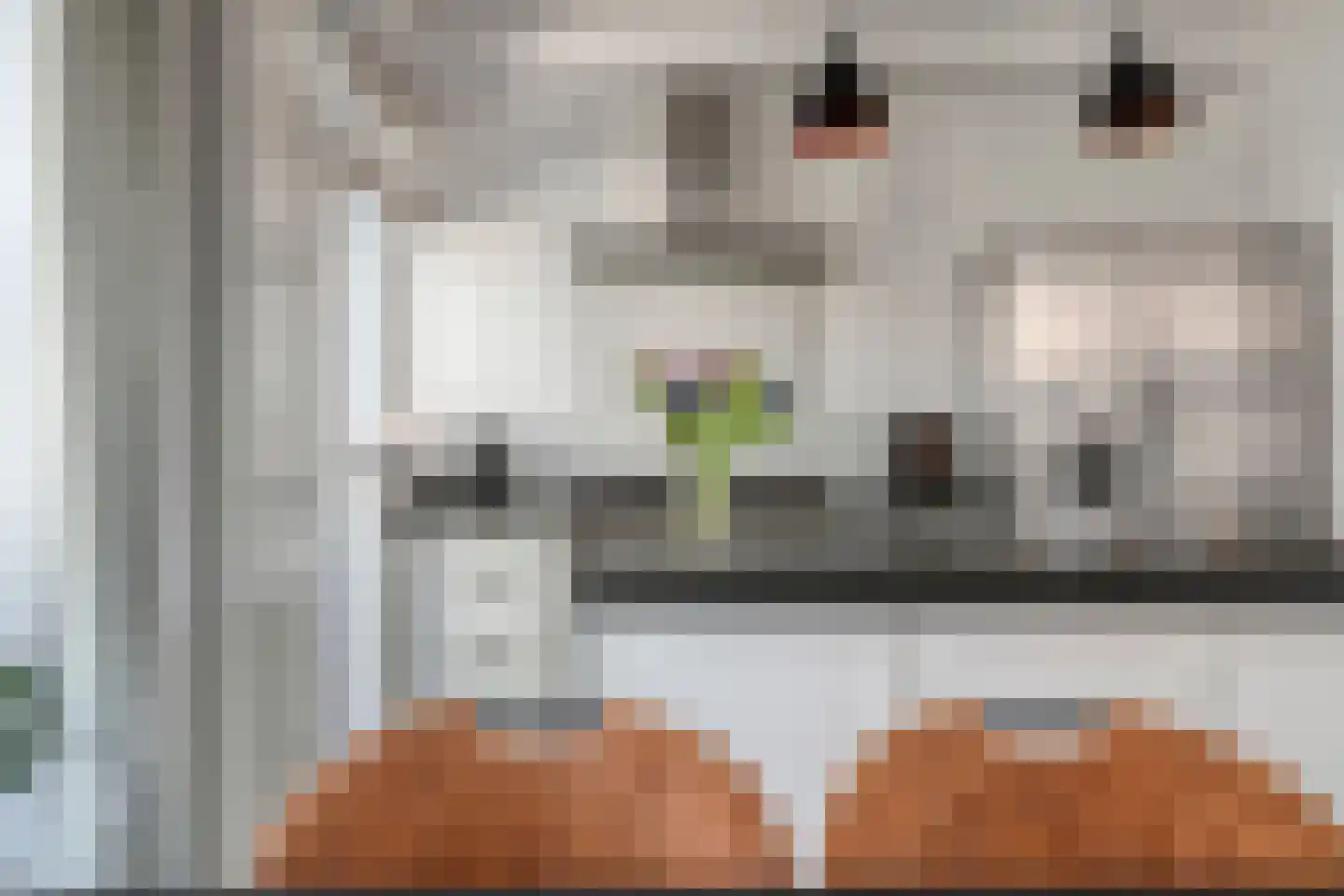 Michiel de Ruijterstraat 48 Best thumbnail 19