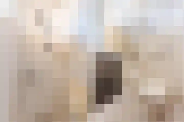 Michiel de Ruijterstraat 62 Best thumbnail 38