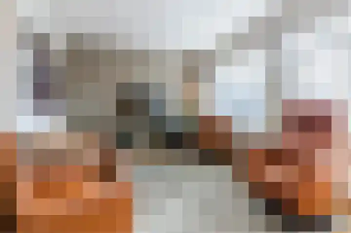 Michiel de Ruijterstraat 62 Best thumbnail 4
