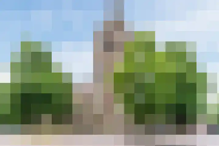 Michiel de Ruijterstraat 62 Best thumbnail 62